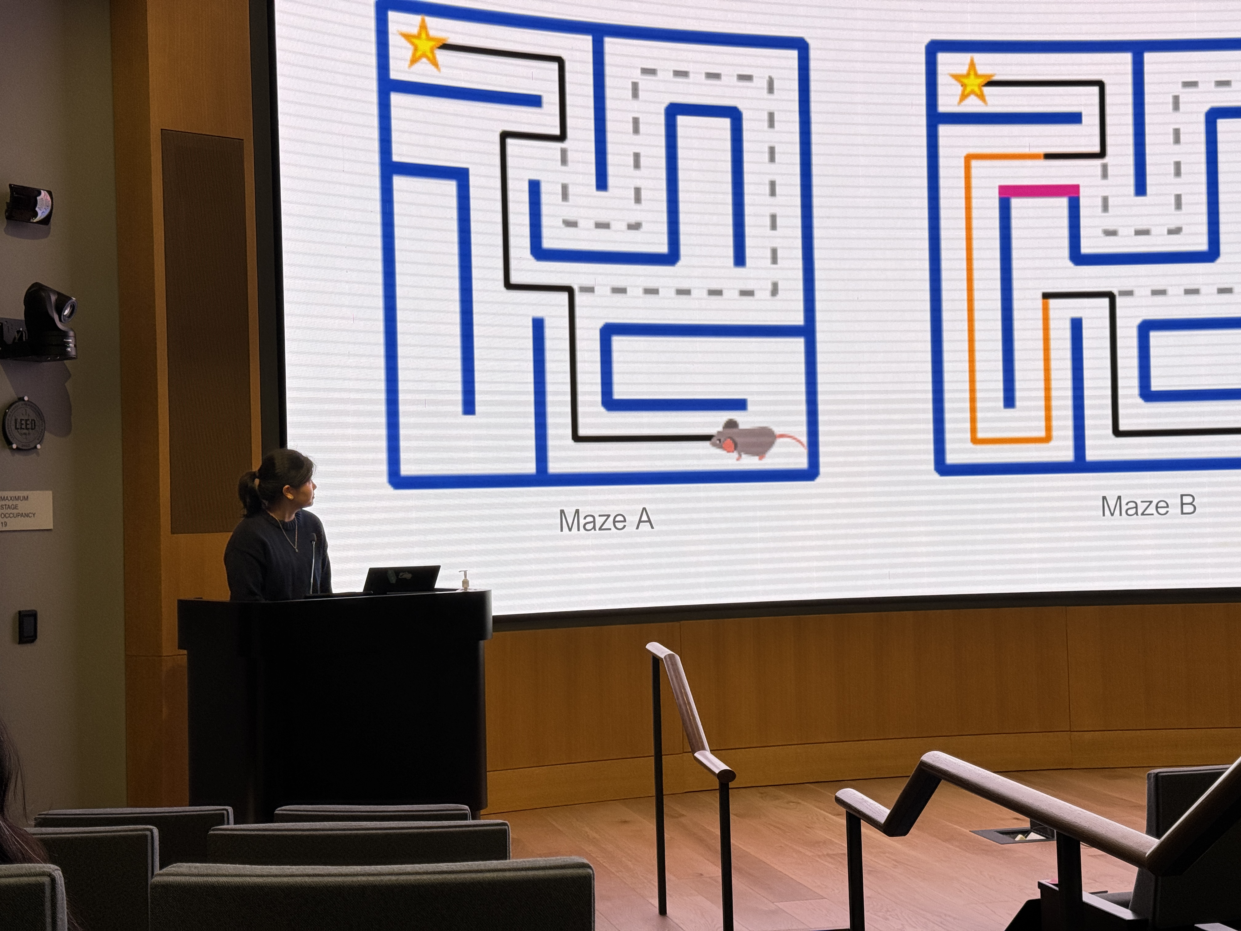 maze routes